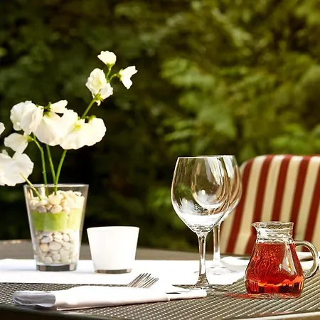 Hotel H+ Bad Soden 4*