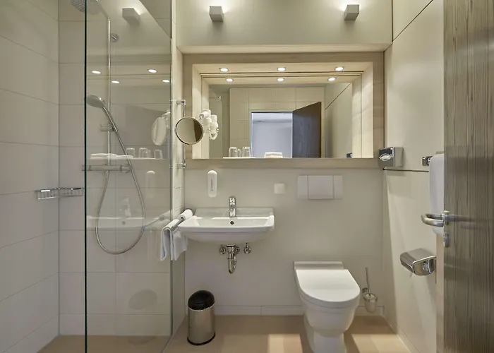 H+ Bad Soden Hotel 4*